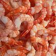 edisto beach shrimp fest