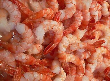 edisto beach shrimp fest