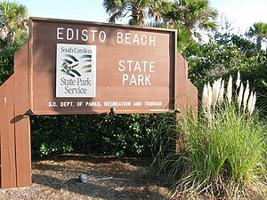 Edisto Beach State Park in Edisto Beach, SC - EdistoBeach.com
