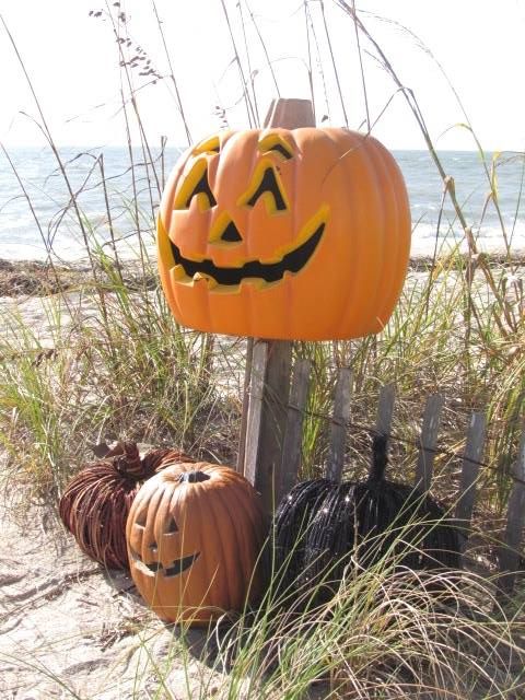edisto beach halloween