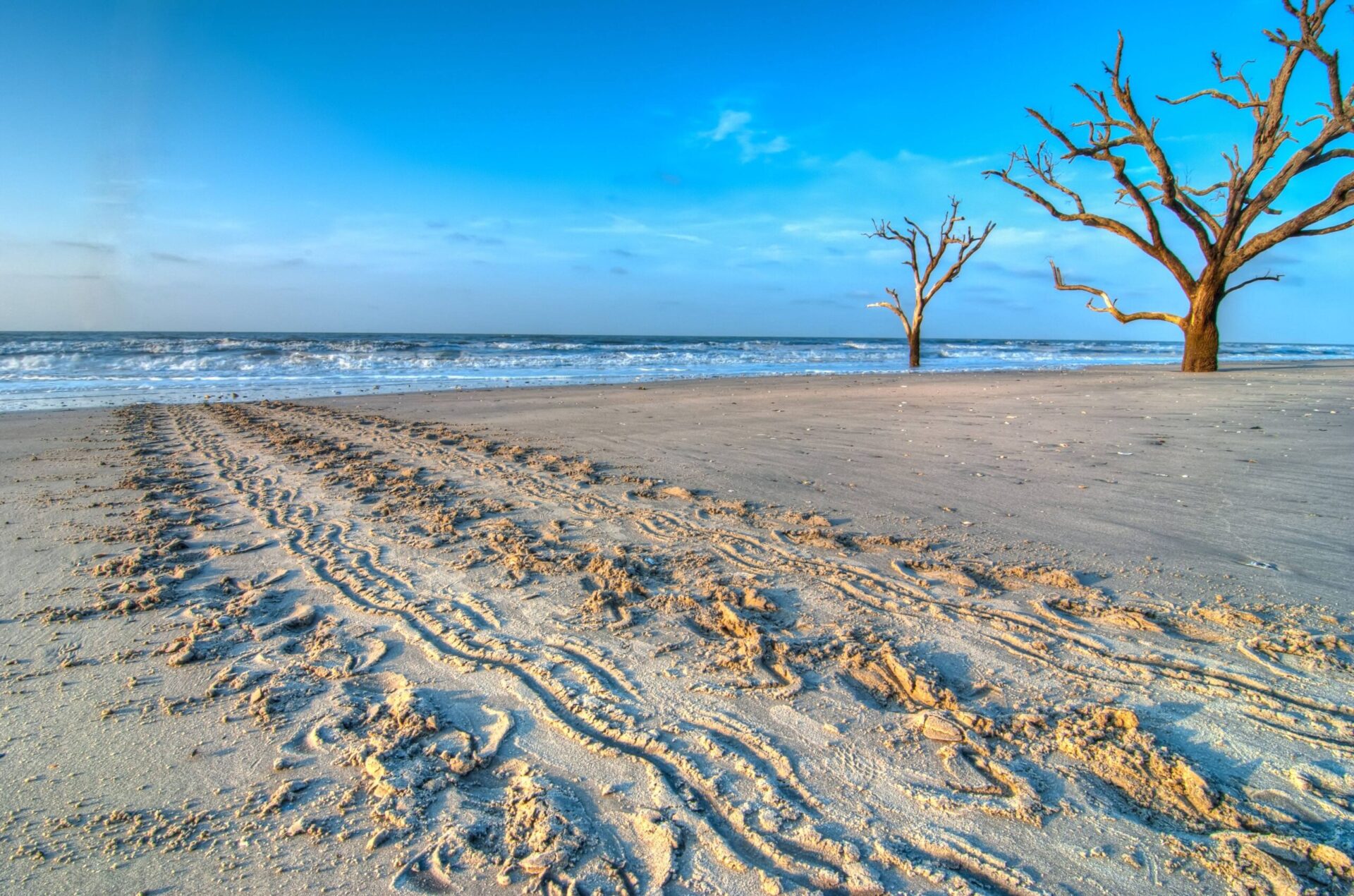 places to visit near edisto island sc